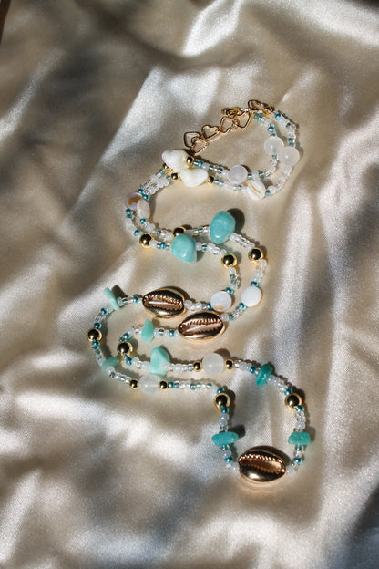 Calypso ❀